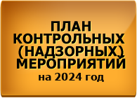 План контрольных (надзорных) мероприятий на 2024 год
